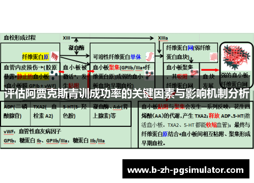 评估阿贾克斯青训成功率的关键因素与影响机制分析